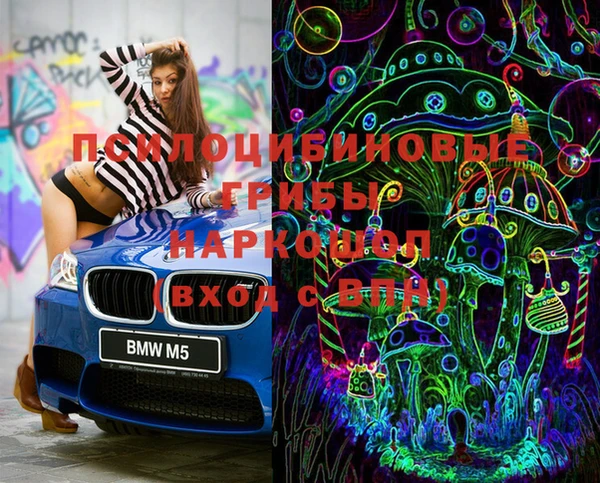 ГАЛЛЮЦИНОГЕННЫЕ ГРИБЫ Арсеньев