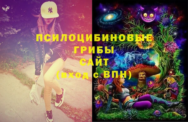 ГАЛЛЮЦИНОГЕННЫЕ ГРИБЫ Арсеньев