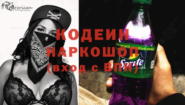 ГАЛЛЮЦИНОГЕННЫЕ ГРИБЫ Арсеньев
