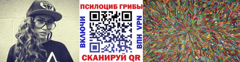 как найти   Темников  ОМГ ОМГ онион  Галлюциногенные грибы мухоморы 